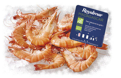 Gambas bio madagascar 40/60
