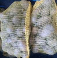 Pommes de terre agata