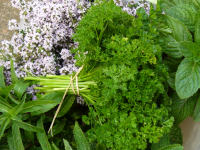 Bouquet de persil double