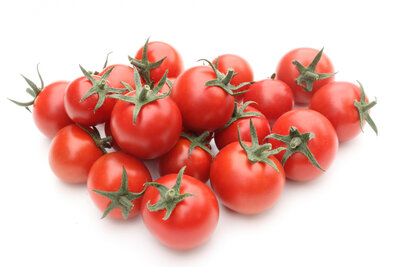 Plants de tomates cerise  rouge x 6