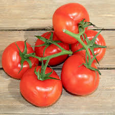 Plants de tomates grappe x 6