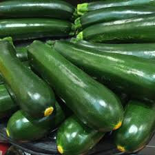 Plant de courgette diamant x 6