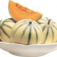 Plant de melon lisse : variété cé