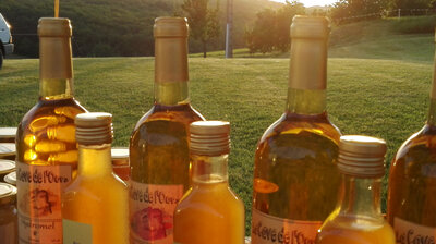 Hydromel doux