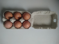 Boîte de 6 oeufs extra frais