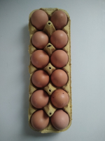 Boîte de 12 oeufs frais