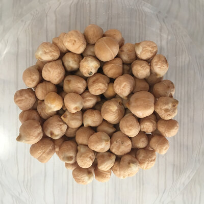Pois chiche