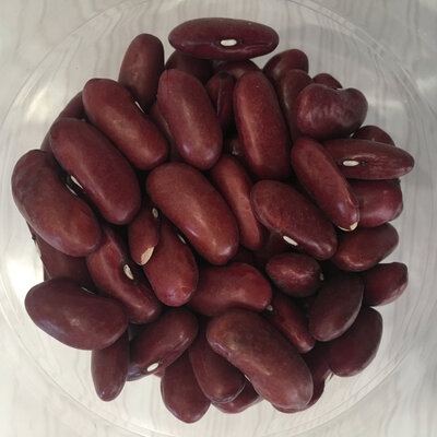 Haricots lingots rouges