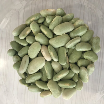 Flageolets