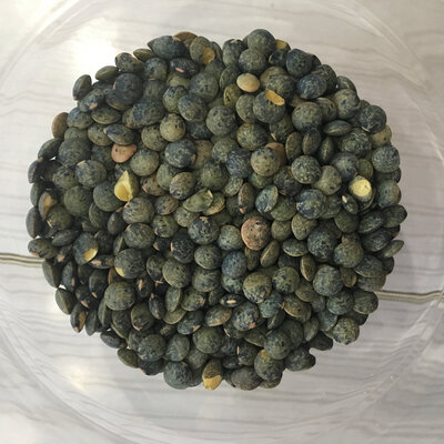 Lentilles vertes