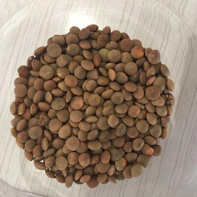 Lentillons