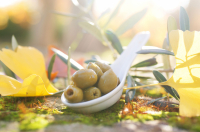 Olives vertes dénoyautees nature