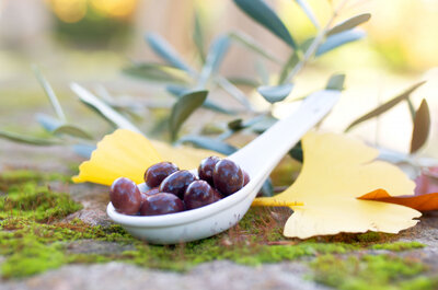 Olives coquillos