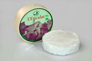 Camembert de brebis bio