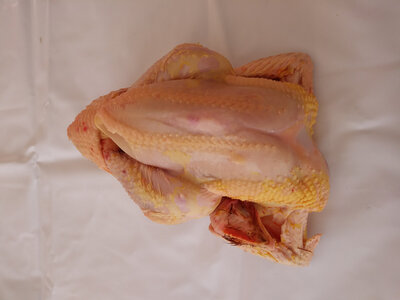 Moyen poulet