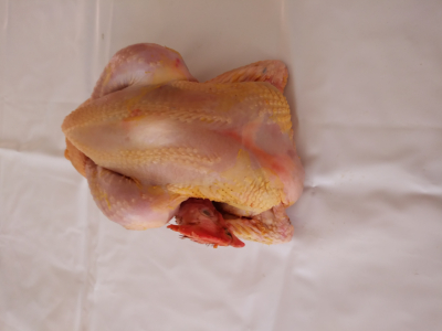 Gros poulet