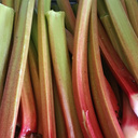 Rhubarbe