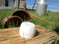 Crottin de chevre bio frais