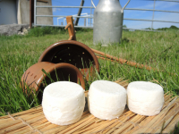 Crottin  de chevre bio demi sec