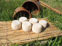 Crottin de chevre bio sec