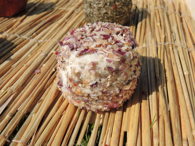 Fromage de chevre bio à l'echalotte bio