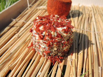 Fromage de chevre bio brushetta