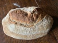 Petit pain au levain