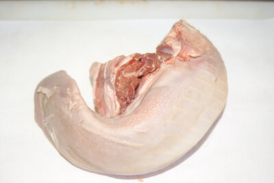 Abats/langue de porc
