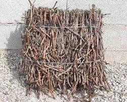 Sarment de vigne