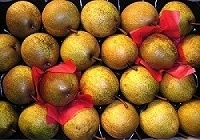 Poires passe-crassanne  pour confiture  5kg