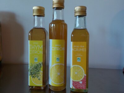 Sirop de mandarine  25 cl-