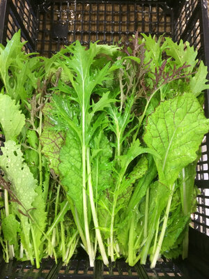 Mélange de salades asiatiques