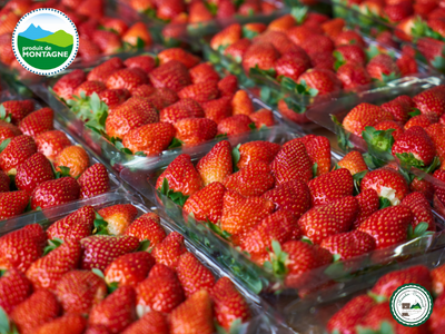 Fraise ronde