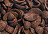 Crosti pétales choc'