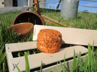 Fromage de chevre bio aux epices mexicaines bio