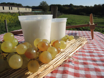 Fromage blanc bio de chevre