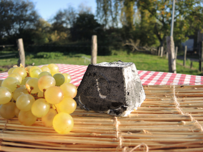 Pyramide cendree bio de chevre