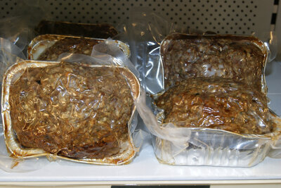 Y/terrine de campagne