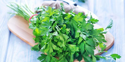 Bouquet persil