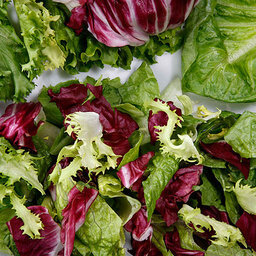 Salade feuilles mélangées