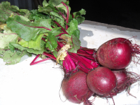 Betterave rouge bottes