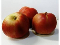 Pomme idared bio