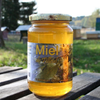 Miel de tilleul
