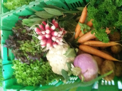 Panier de légumes très  grand format