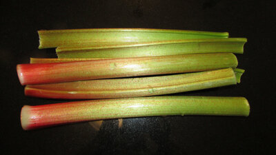 Rhubarbe