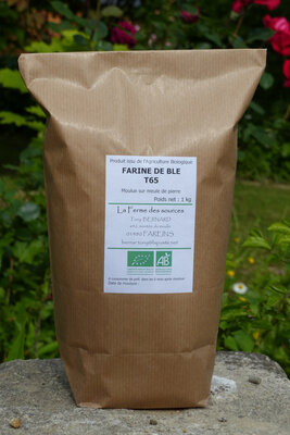 Farine de blé t65