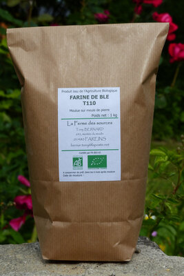 Farine de blé t110