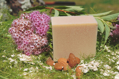 Savon surgras laits d'ânesse & d'avoine