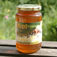 Miel de châtaignier