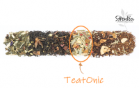 Teatonic (infusion glacée citronnel